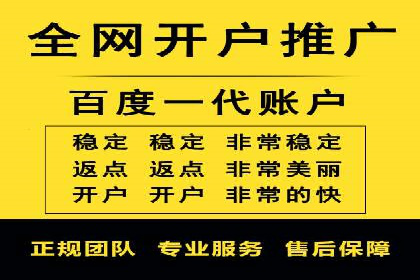 某品牌通过百度广告实现快速增长的案例